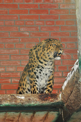 Similar image 22581582