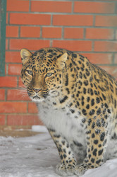 Similar image 22581583