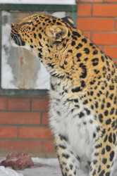 Similar image 22581595