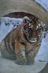 Similar image 22581596