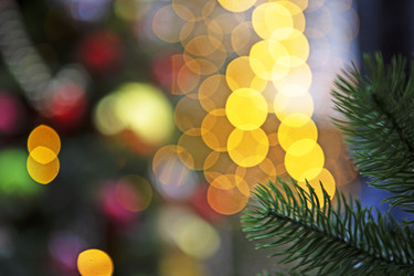 Similar image 22501908