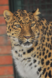 Similar image 22581597