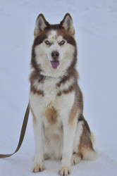 Similar image 22581598