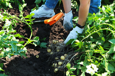 Similar image 22501778