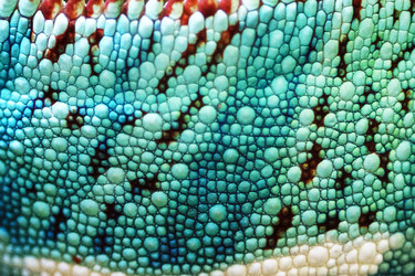 Similar image 22501829