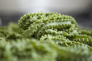 Similar image 22501842