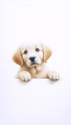 Similar image 22510592