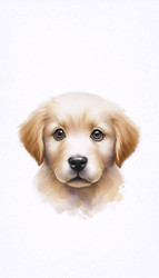 Similar image 22510680