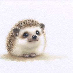 Similar image 22511263