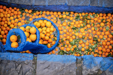 Similar image 22477478