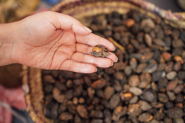 Similar image 22477510