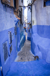 Similar image 22477513