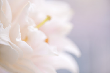 Similar image 22477514