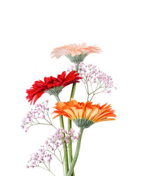 Similar image 22497822