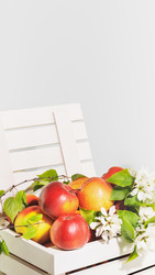 Similar image 22497848