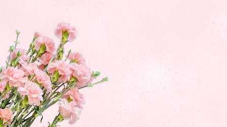 Similar image 22497755