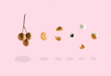 Similar image 22480720