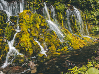 Similar image 22488270