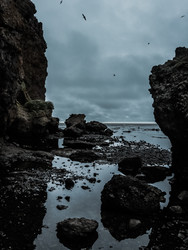 Similar image 22488285