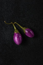 Similar image 22480448