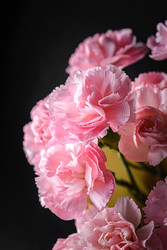 Similar image 22480570