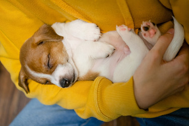 Similar image 22490082