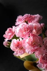 Similar image 22480722