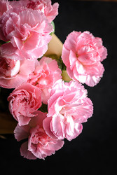 Similar image 22480768