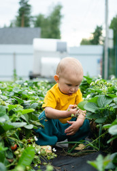 Similar image 22490170