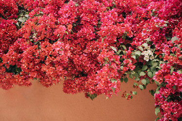 Similar image 22477449