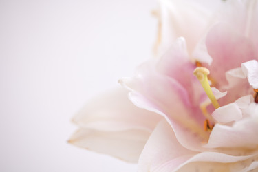 Similar image 22477464