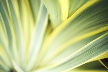 Similar image 22477466