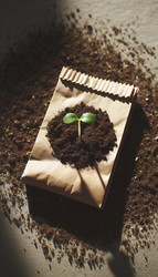 Similar image 22512928