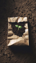 Similar image 22515041