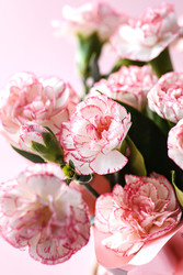 Similar image 22480686