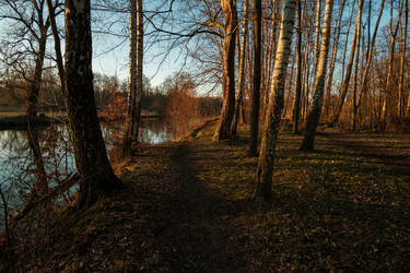 Similar image 22586849