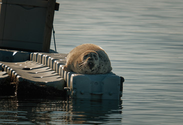 Similar image 22586878