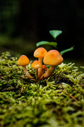 Similar image 22589873