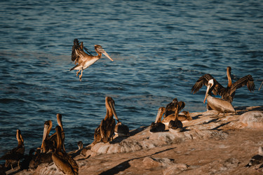 Similar image 22589874