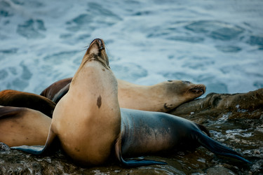 Similar image 22589887