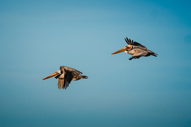 Similar image 22589889