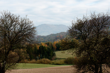 Similar image 22589949