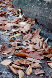 Similar image 22589978