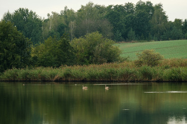 Similar image 22590023