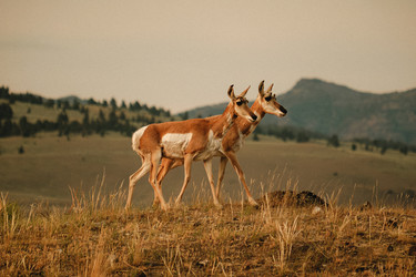 Similar image 22585570