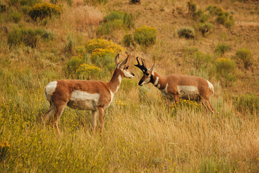 Similar image 22585614