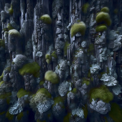 Similar image 22512585