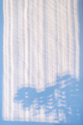 Similar image 22562462