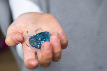 Similar image 22483969