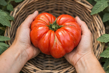 Similar image 22478501